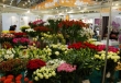 Выставка цветов проходит в «Крокус-Экспо» в Москве
