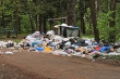 Отсутствие договора обойдётся «в копеечку»: новые штрафы за мусор вступили в силу 