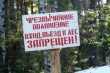 Запрет на посещение лесов вводится с 25 апреля