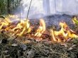 На территории Московской области повышается класс пожарной опасности