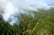 Профилактика лесных пожаров в регионе