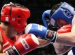 Открытые соревнования по боксу на призы Александра Поветкина стартовали в Чехове